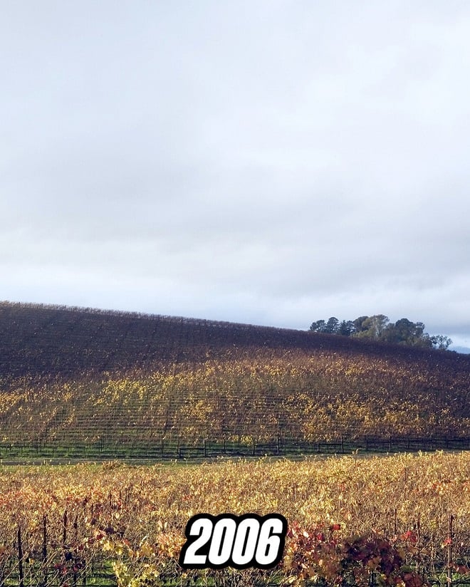 Photo de la colline Bliss en 2006
