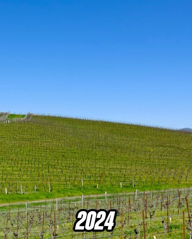 Photo de la colline Bliss en 2024