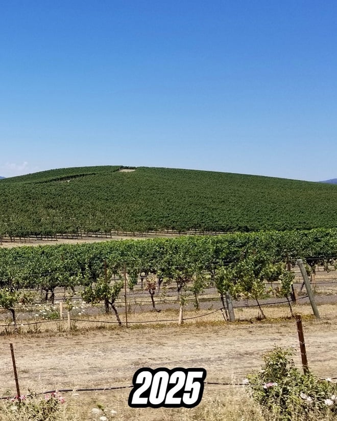 Photo de la colline Bliss en 2025