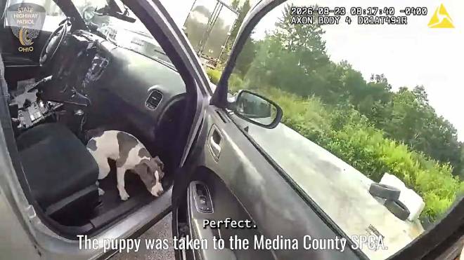 Chien abandonn&eacute; secouru par un policier dans sa voiture