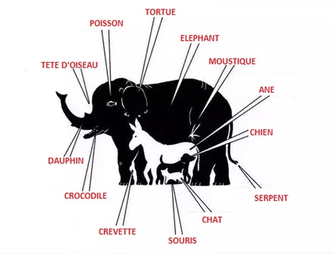 Illusion d'optique montrant des animaux