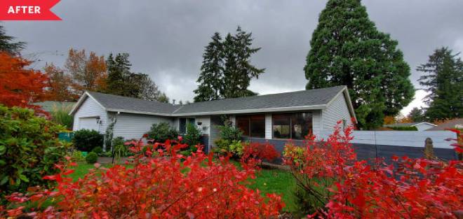 Plantes devant la maison r&eacute;nov&eacute;e de Hussain Aslam