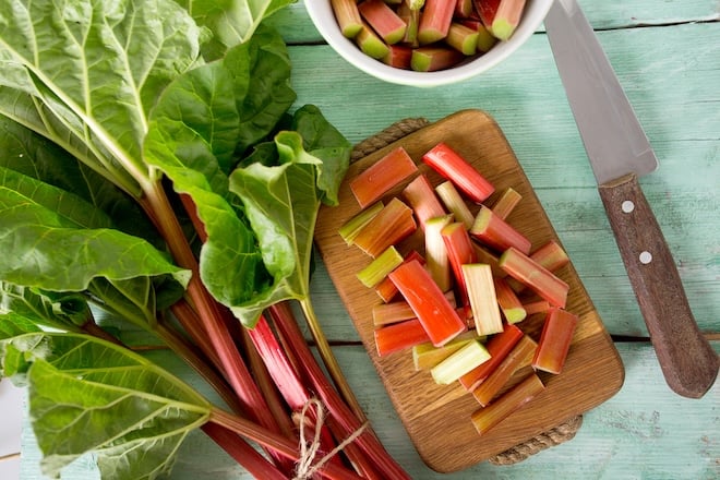 rhubarbe