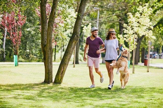 Couple se balandant avec son chien dans un parc