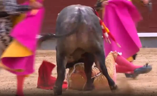 Un taureau attaquant le torero Paco Ure&ntilde;a durant une corrida
