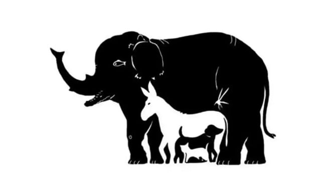 Illusion d'optique montrant des animaux
